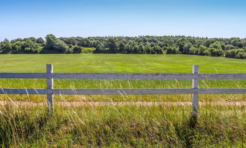 Fence detail